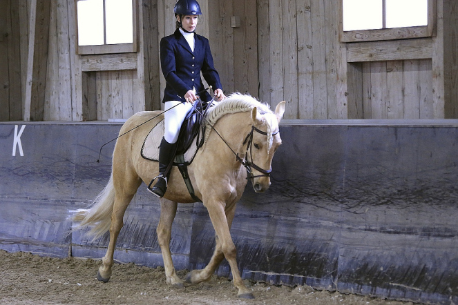 Es geht auch klassisch: Evelyn mit einem Ausbildungspferd an einer Dressur-Prüfung