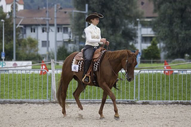 Evelyn startet mit einem Ausbildungspferd an einem Western-Turnier