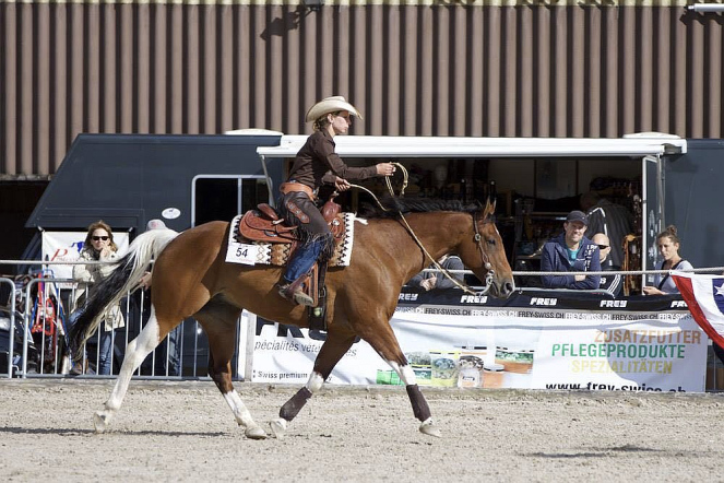 Evelyn startet mit einem Ausbildungspferd an einer Western-Turnier