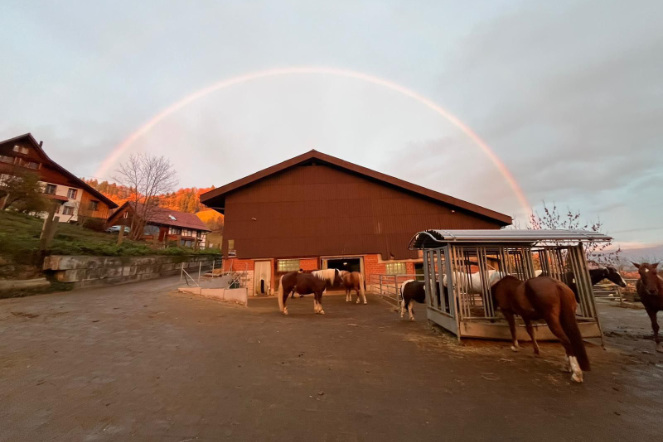 Regenbogen über dem Auslauf des Stalls