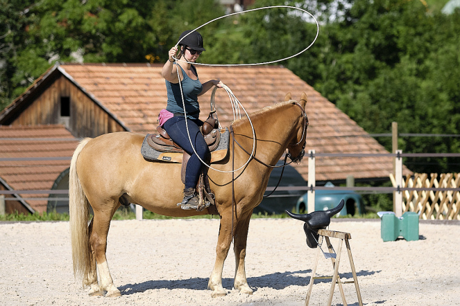 Lasso werfen vom Pferd aus