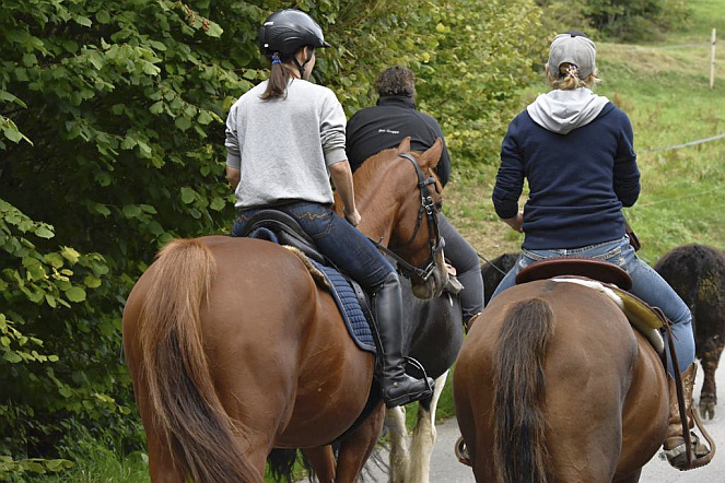 Reitunterricht im Gelände