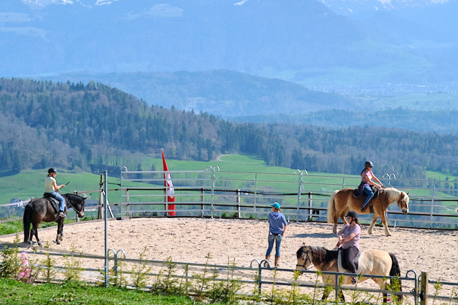 Reitunterricht bei Evelyn Honegger auf dem Reitplatz